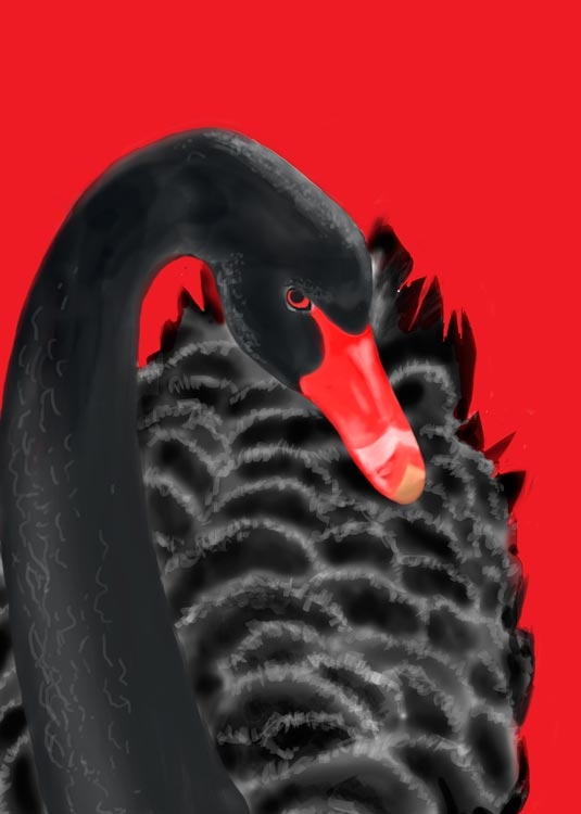 cover-Black-Swan